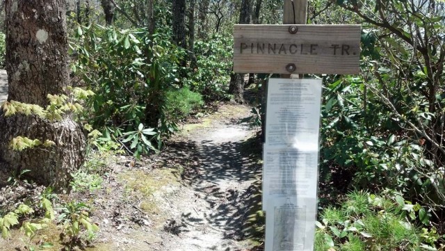 Pinnacle Trail Sign.jpg